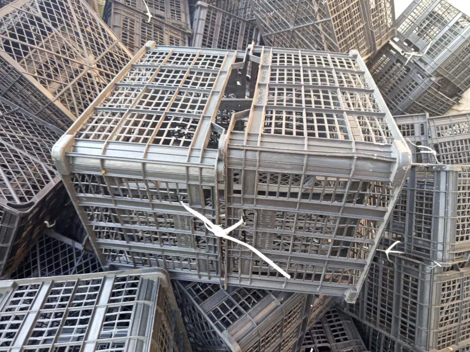 سبد گوجه و قصب ۱۲کیلویی|ظروف نگهدارنده، پلاستیکی، یک‌بارمصرف|بوشکان, |دیوار