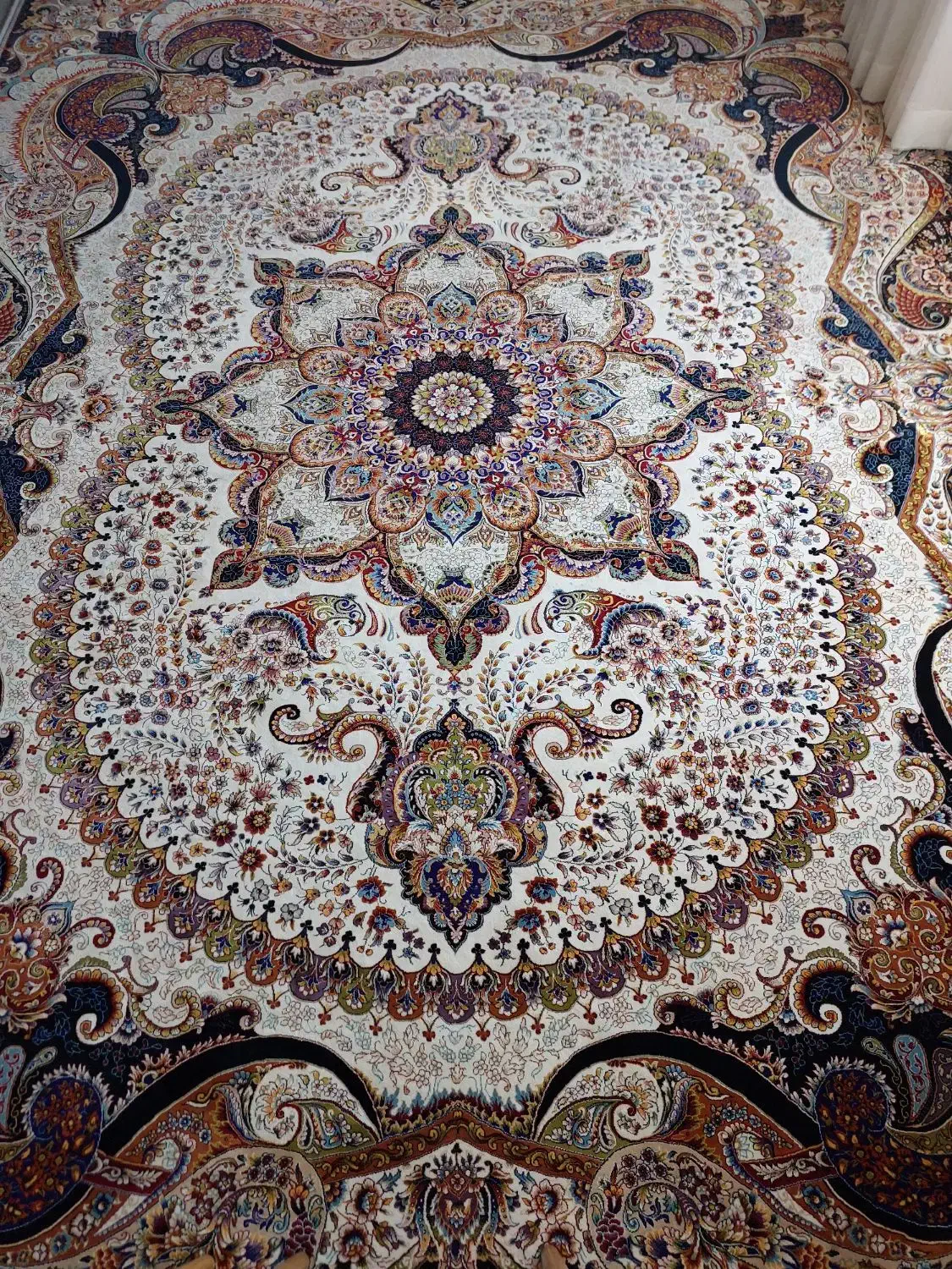 فرش ۱۲ متری|فرش|شیراز, سینما سعدی|دیوار