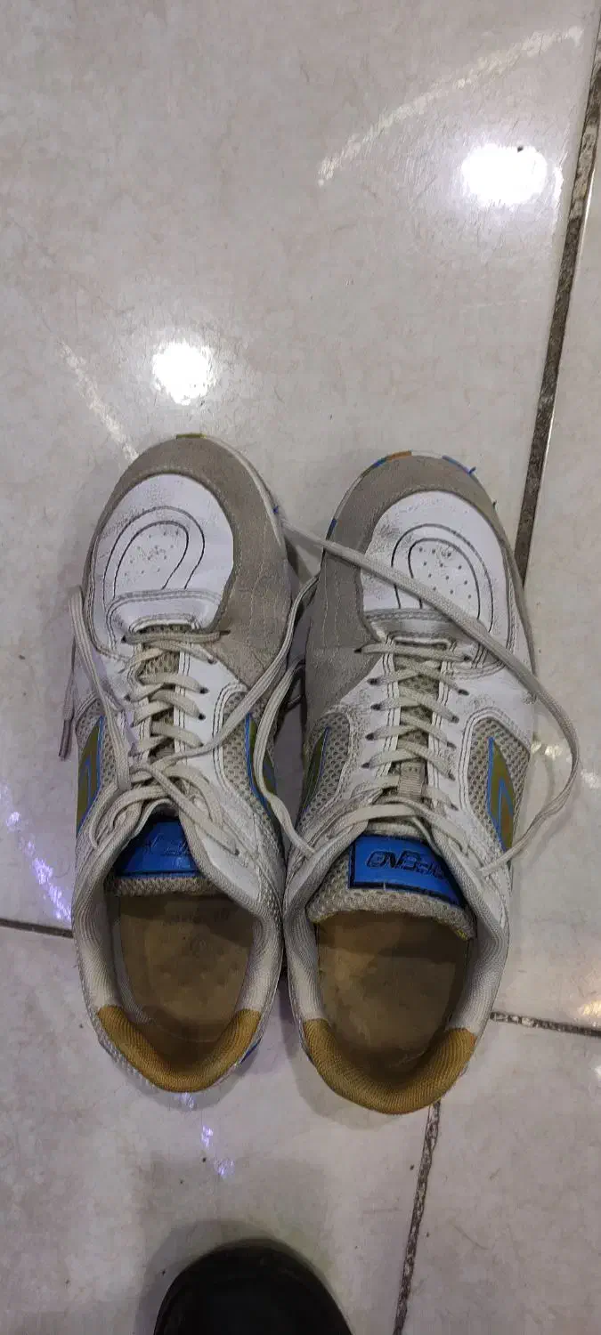 کفش سالن دیفانو|کیف، کفش، کمربند|سبزوار, عظیمیان|دیوار