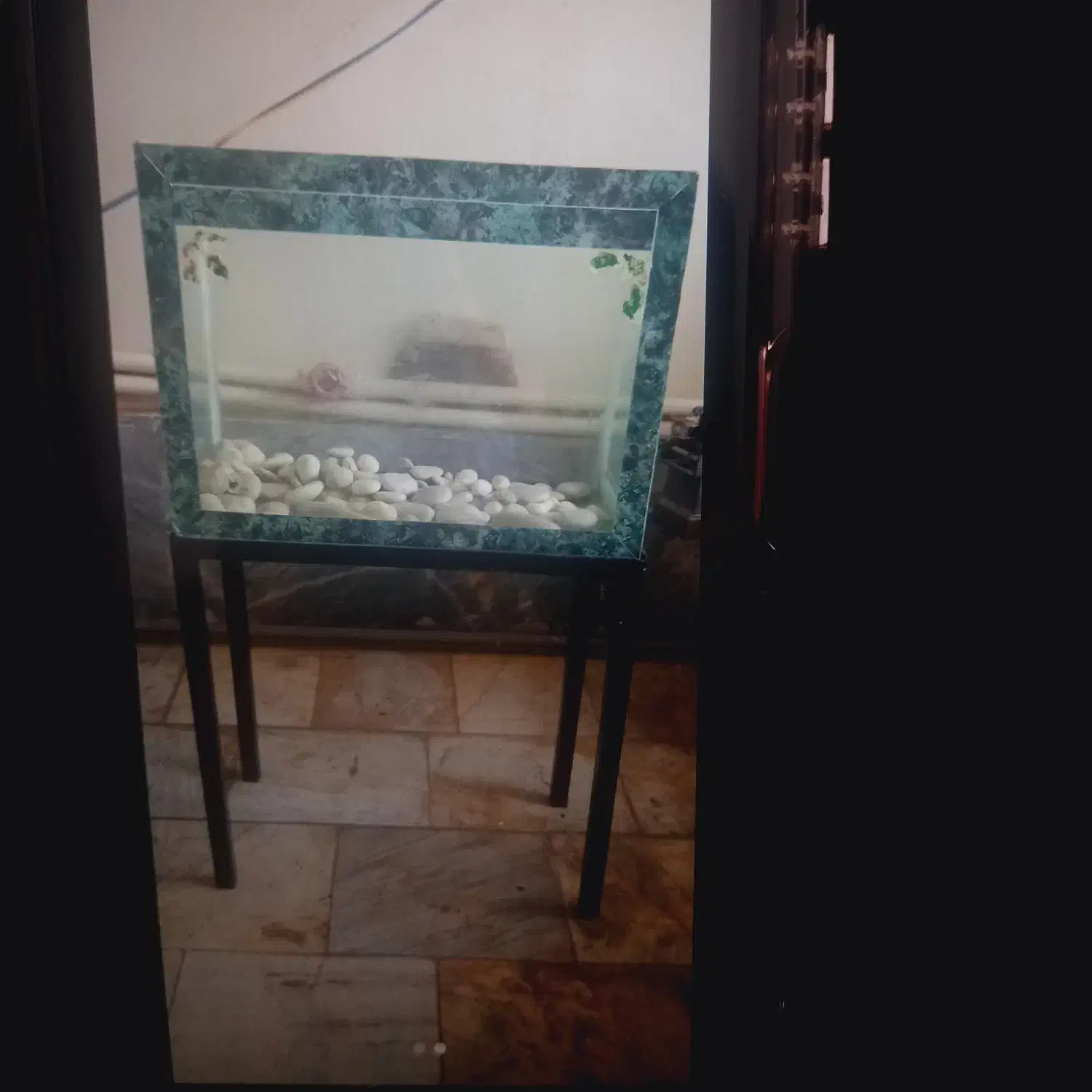 آکواریوم|ماهی|نسیمشهر, |دیوار