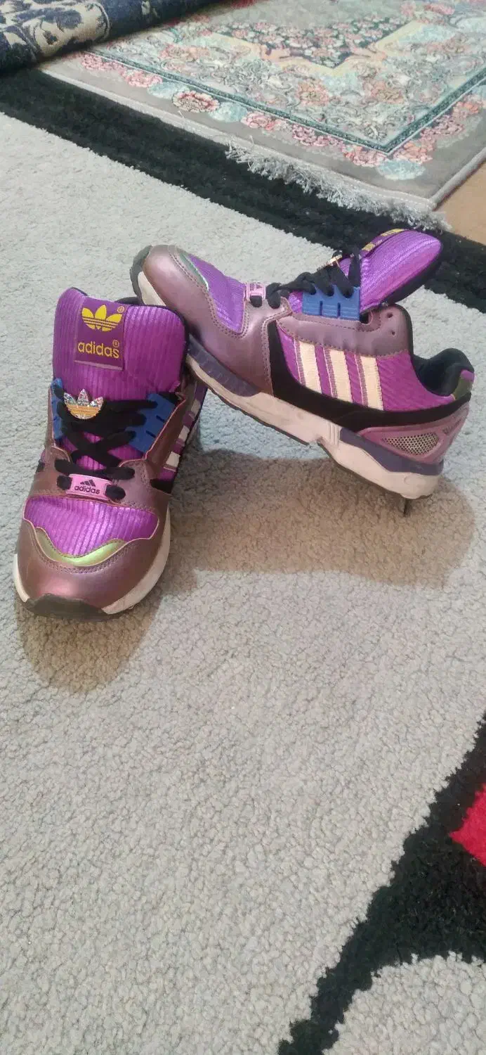 کتانی|کیف، کفش، کمربند|هشتگرد, شهرک وحدت|دیوار