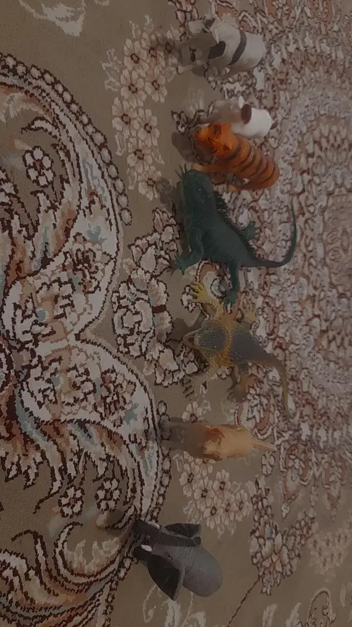 اسباب بازی|اسباب‌‌بازی|گرمسار, |دیوار