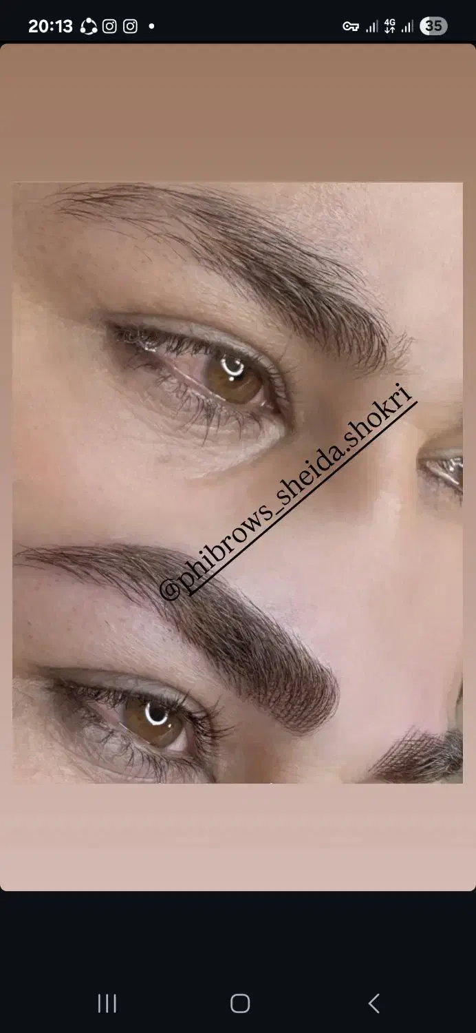 پذیرش مدل جهت فیبروز ابرو و شیدینگ لب|خدمات آرایشگری و زیبایی|شیراز, باغ تخت|دیوار