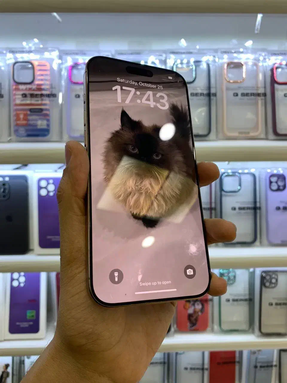 آیفون 16 پرومکس iphone16promax رجیستر شده|موبایل|مشهد, دانشجو|دیوار