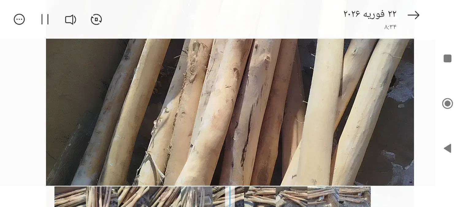 چوب سقفی|مصالح و تجهیزات ساختمان|کرفتو, |دیوار