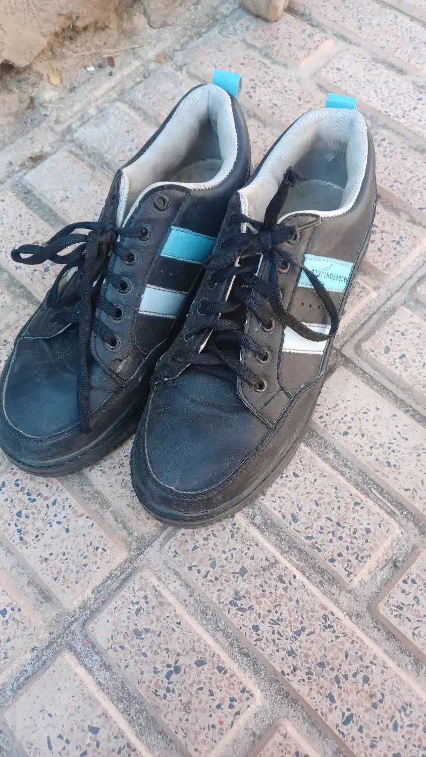 کفش|کیف، کفش، کمربند|مرند, |دیوار