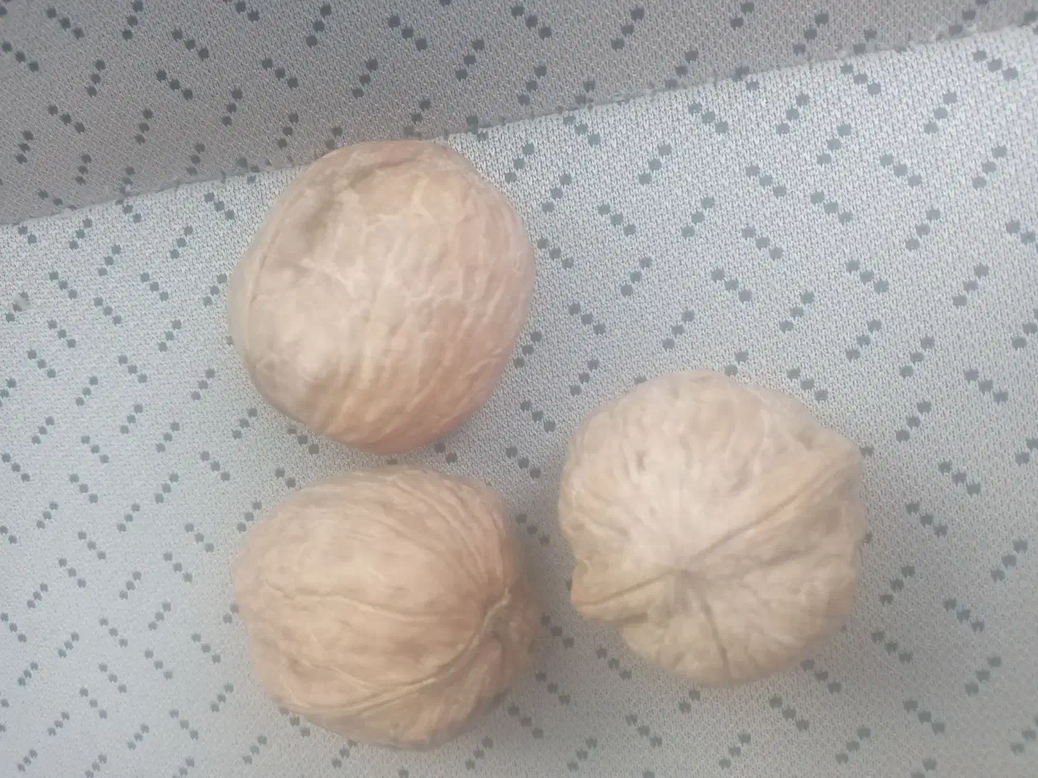 گردو|حراج|سیرجان, |دیوار