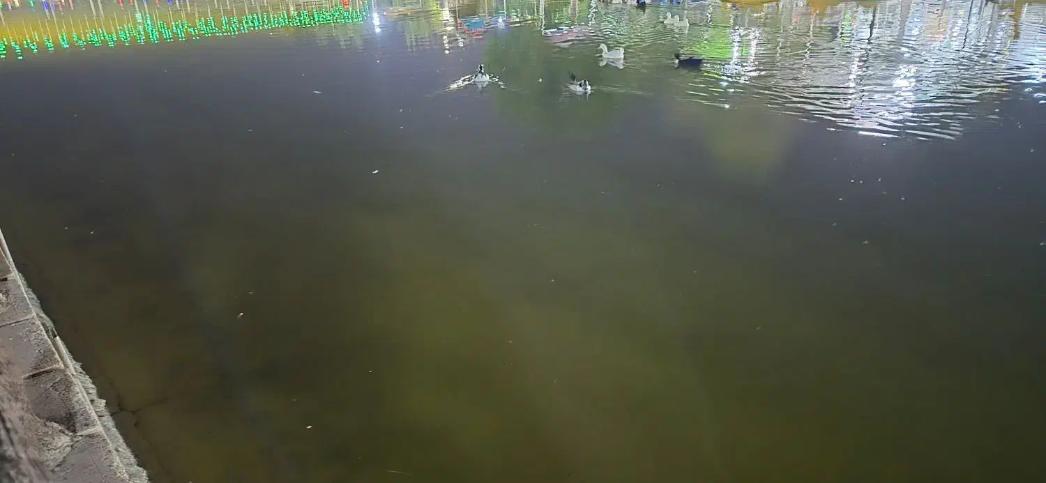 رهن خونه ویلایی|اجارهٔ خانه و ویلا|اهواز, سید خلف|دیوار