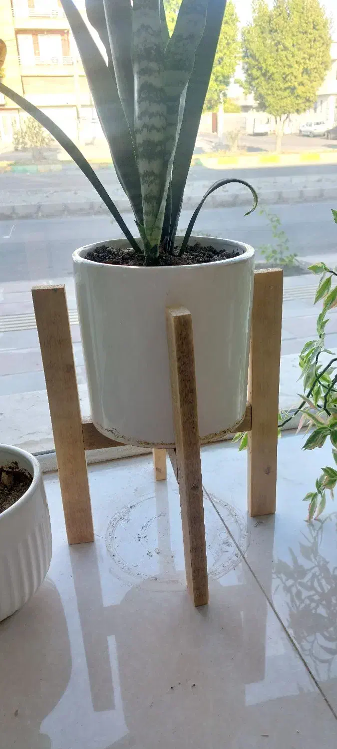 استند گل|کتابخانه، شلف، قفسه‌های دیواری|جیرفت, |دیوار