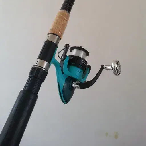 لنسر|ماهیگیری|اردبیل, |دیوار