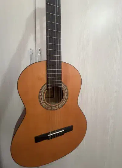 گیتار پارسی|گیتار، بیس، امپلیفایر|باقرشهر, |دیوار