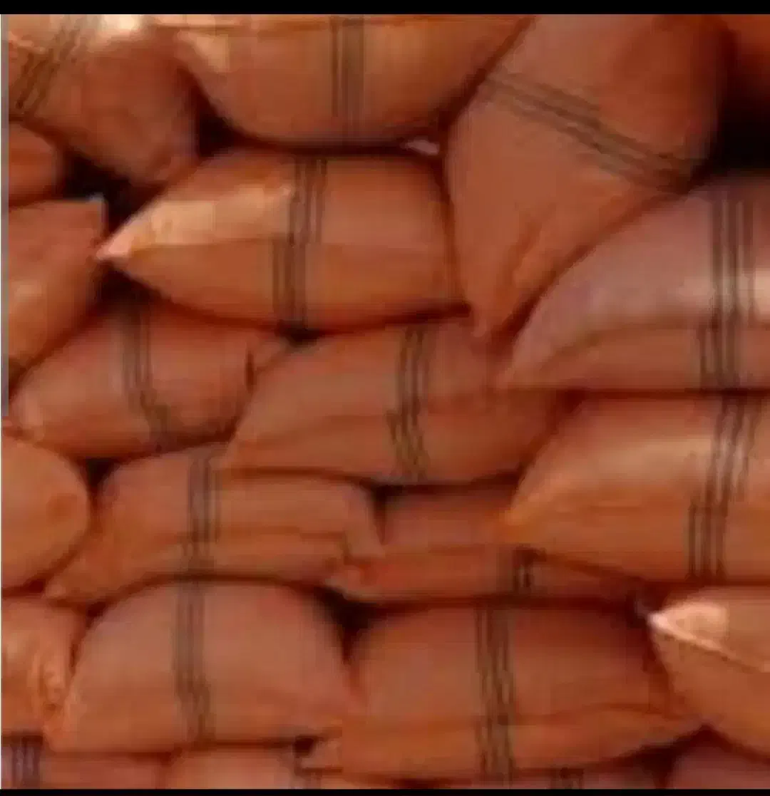 کاه دیم|خدمات باغبانی و درختکاری|آبدانان, |دیوار