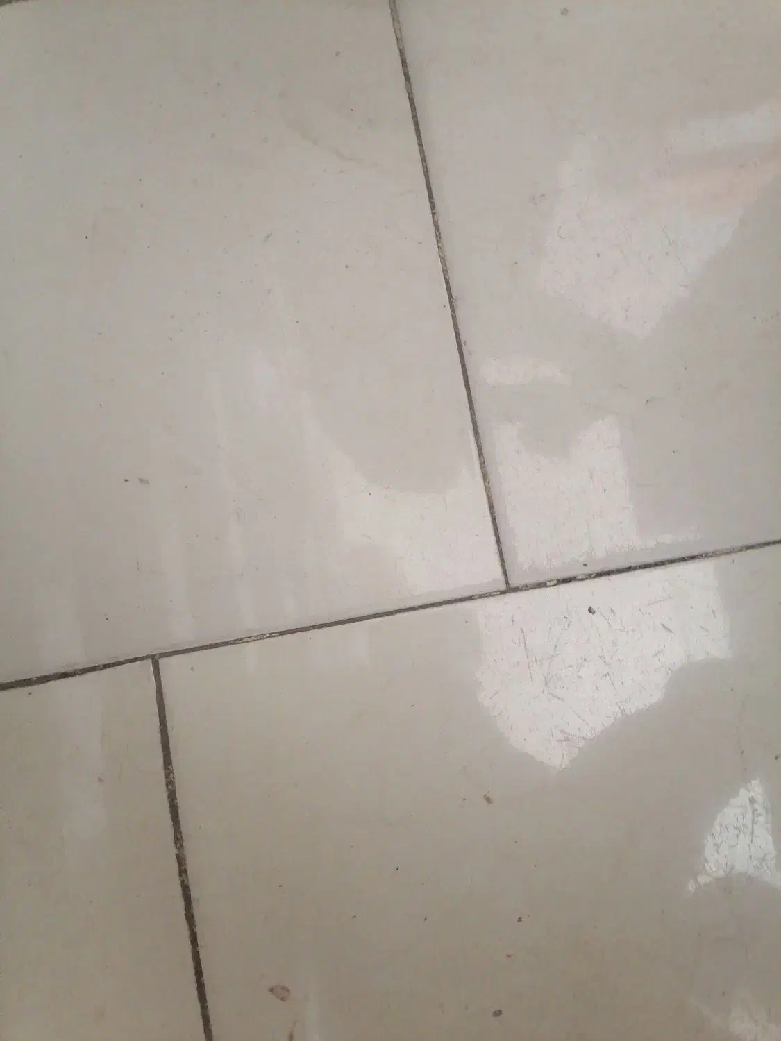 مغازه|اجارهٔ مغازه و غرفه|بیرجند, |دیوار