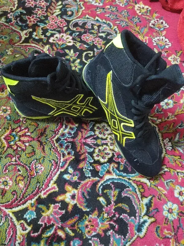 کفش کشتی|کیف، کفش، کمربند|مینودشت, |دیوار