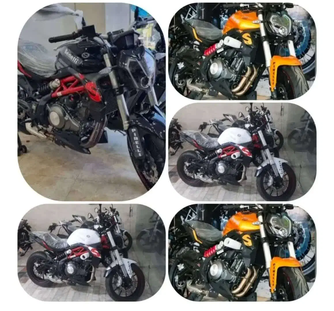 3دستگاه بنلی ۳۰۰ یک عددویسته کی وی 280|موتورسیکلت|تهران, دهکده المپیک|دیوار