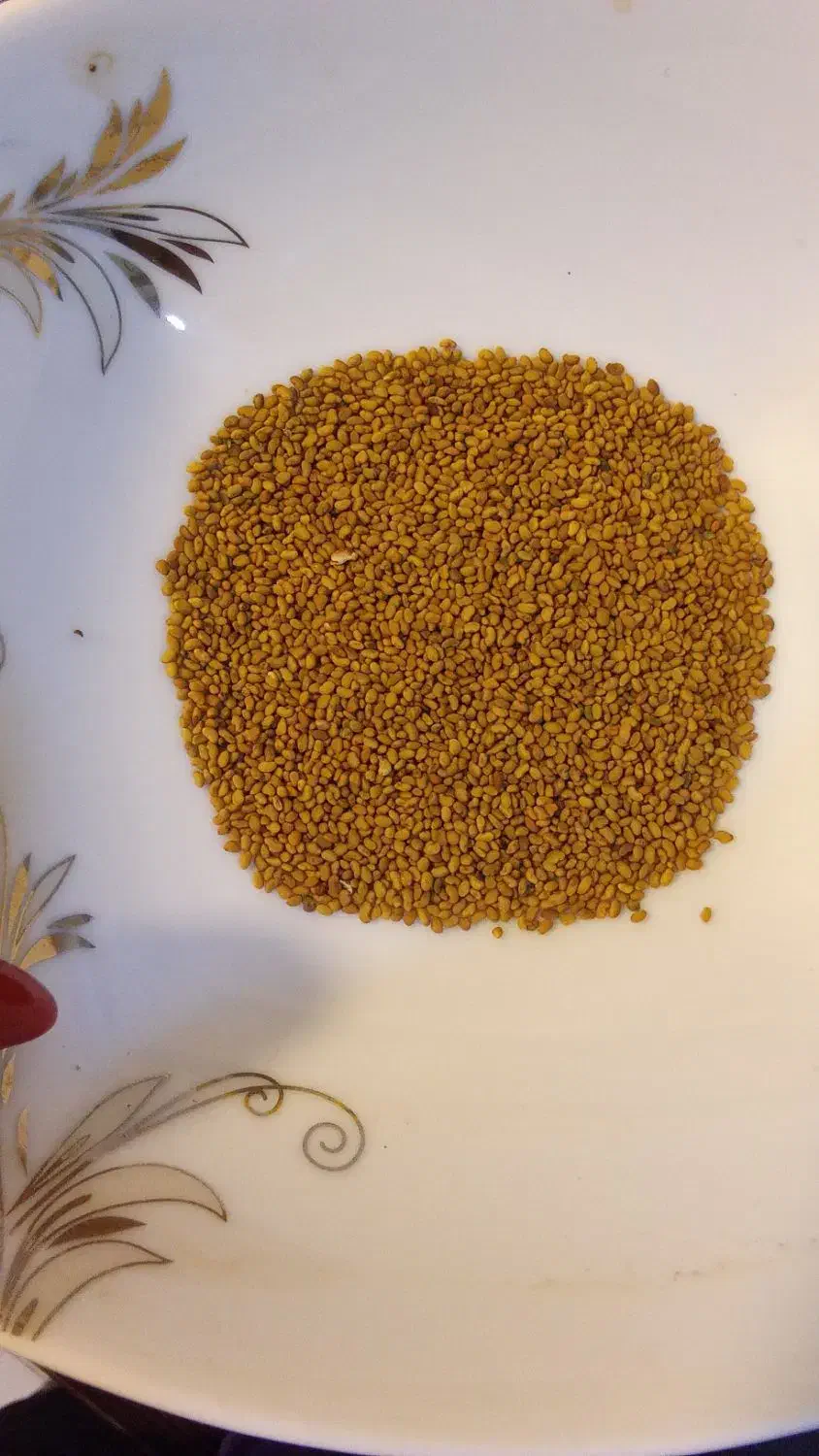 ناب|خدمات باغبانی و درختکاری|صوفیان, |دیوار