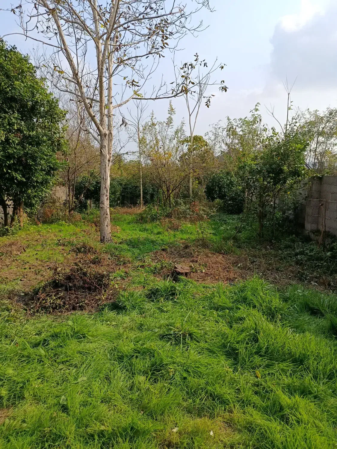 ویلایی|فروش خانه و ویلا|رشت, شهرک قدس|دیوار