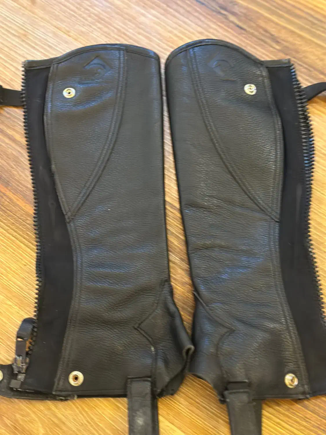 ست سوارکاری|اسب و تجهیزات اسب‌سواری|تهران, علم و صنعت|دیوار