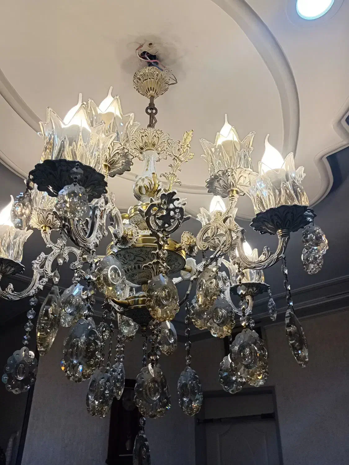 فروش یک عددلوسترسالم لامپ سالم لاله هاسالم|لوستر و چراغ آویز|تهران, شکوفه (عبدل آباد)|دیوار