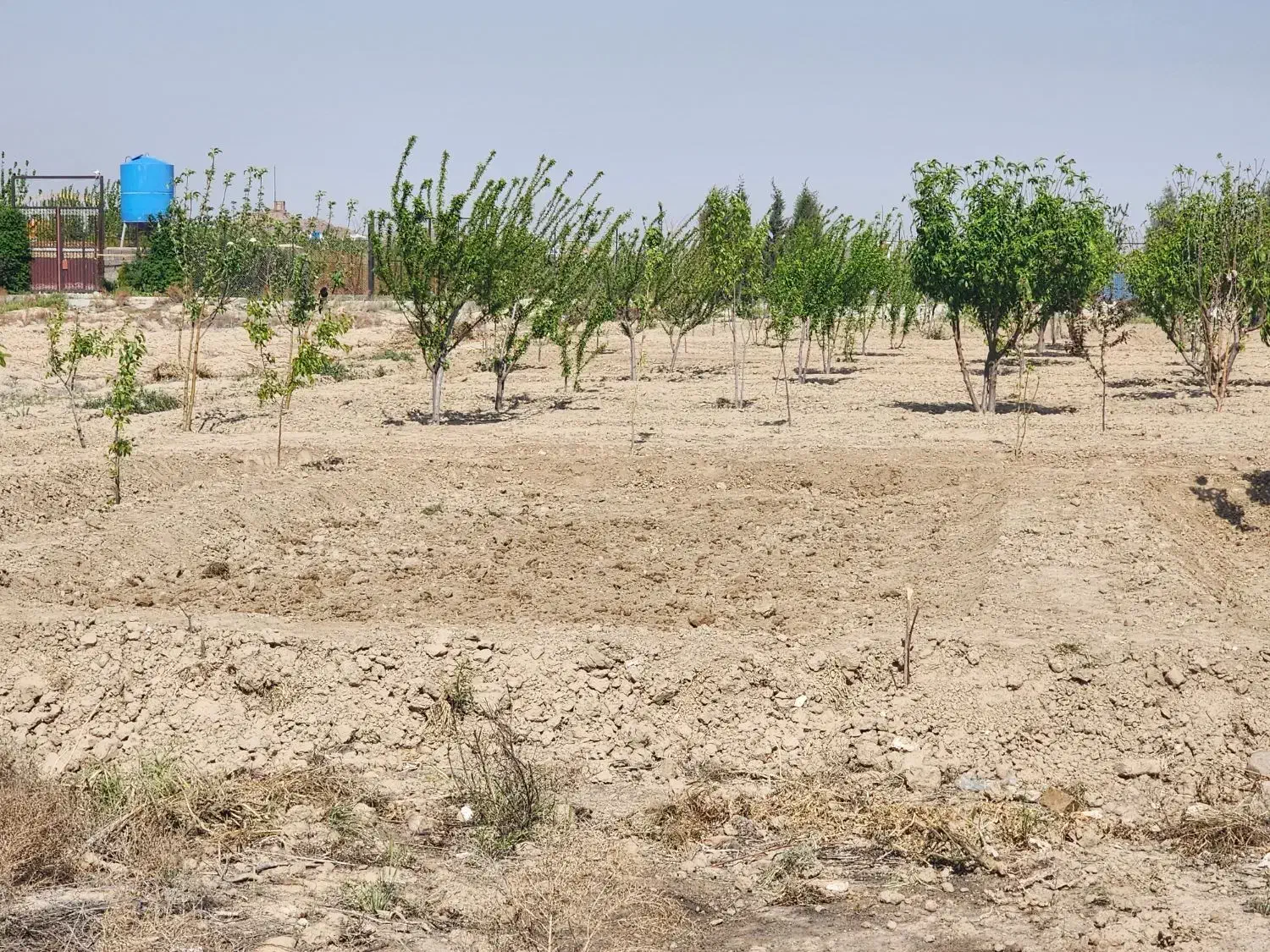 باغ|فروش خانه و ویلا|رباط‌کریم, رباط‌کریم|دیوار