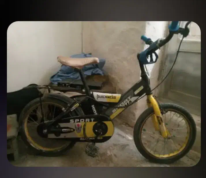 دوچرخه|دوچرخه، اسکیت، اسکوتر|الشتر, |دیوار