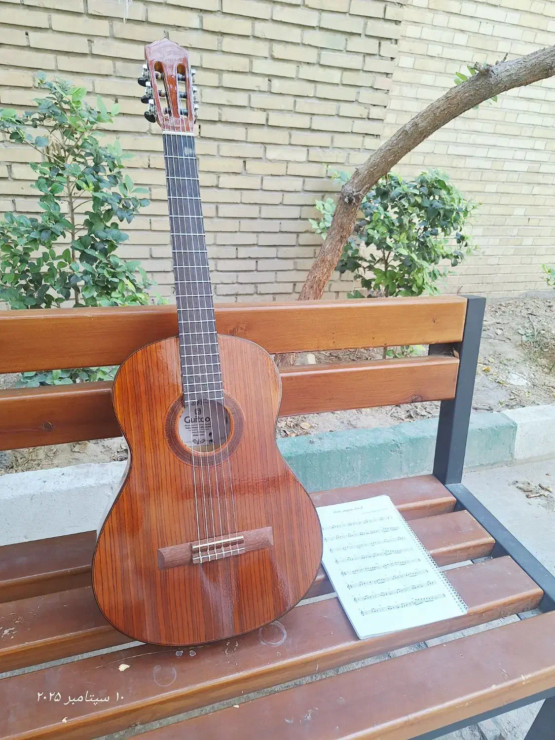 گیتار مدل G2 plus|گیتار، بیس، امپلیفایر|تهران, سعادتآباد|دیوار