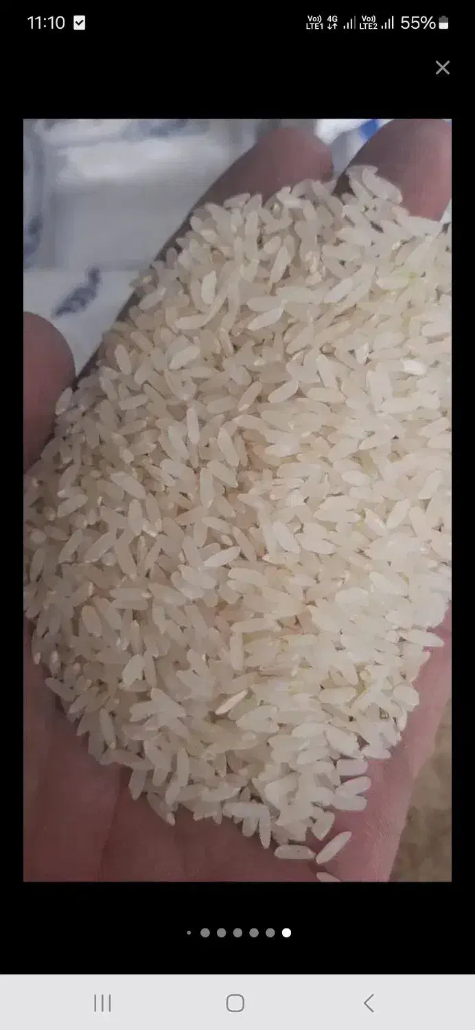 فروش برنج کامفیروزی|خوردنی و آشامیدنی|صدرا-فارس, فاز ۱|دیوار