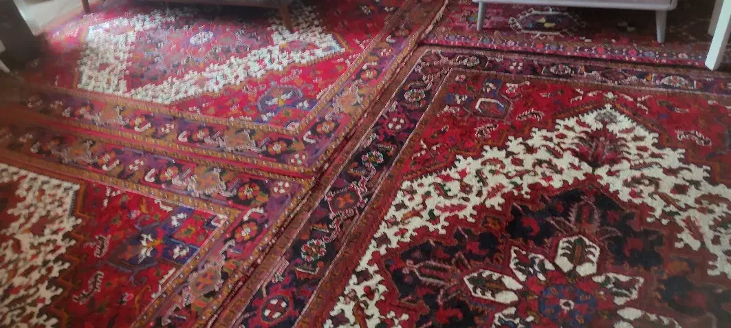 فرش دستباف پروانه|فرش|مراغه, |دیوار