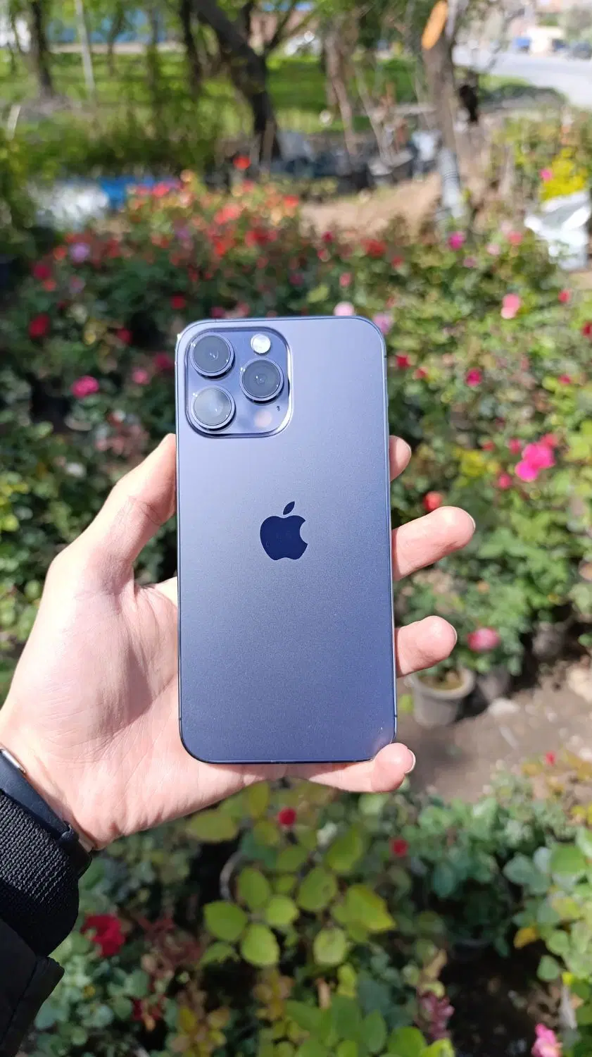 Iphone 14 pro max|موبایل|مراغه, |دیوار