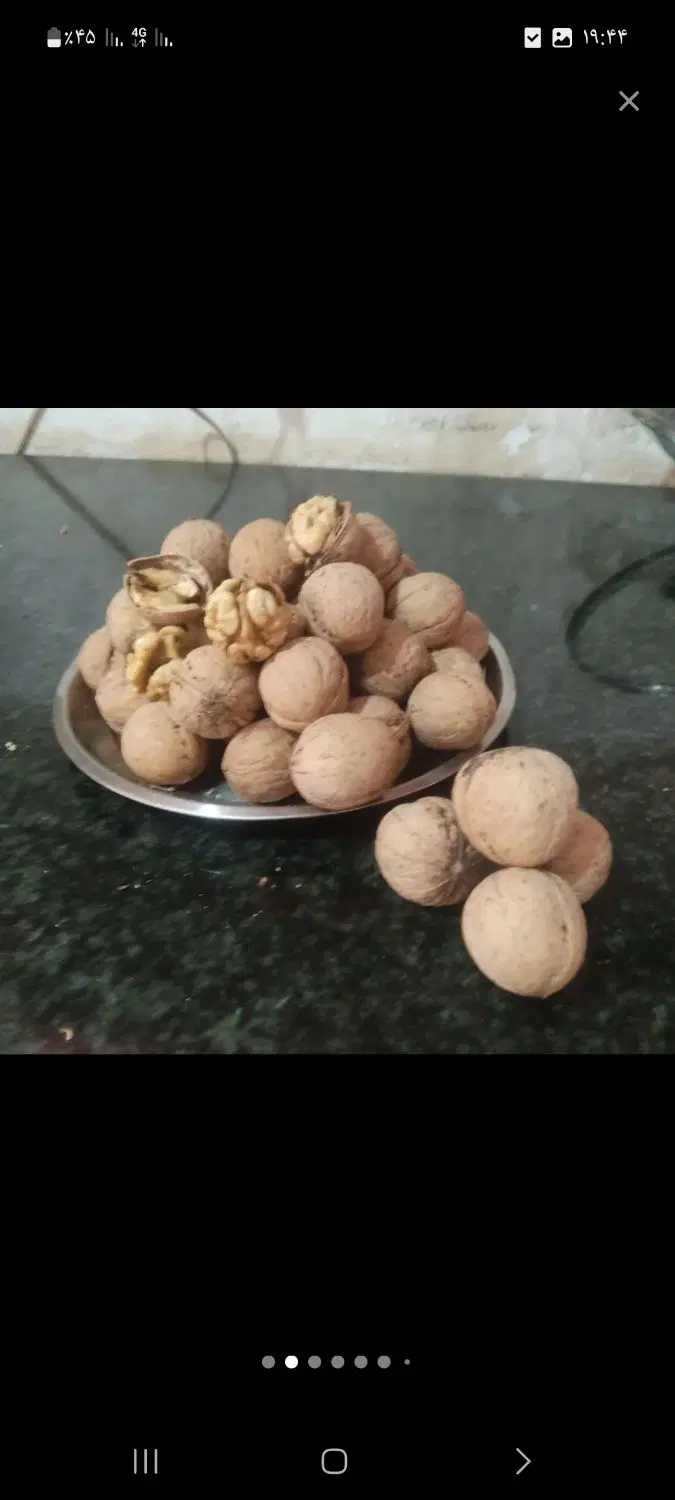 گردو|خوردنی و آشامیدنی|خلخال, |دیوار