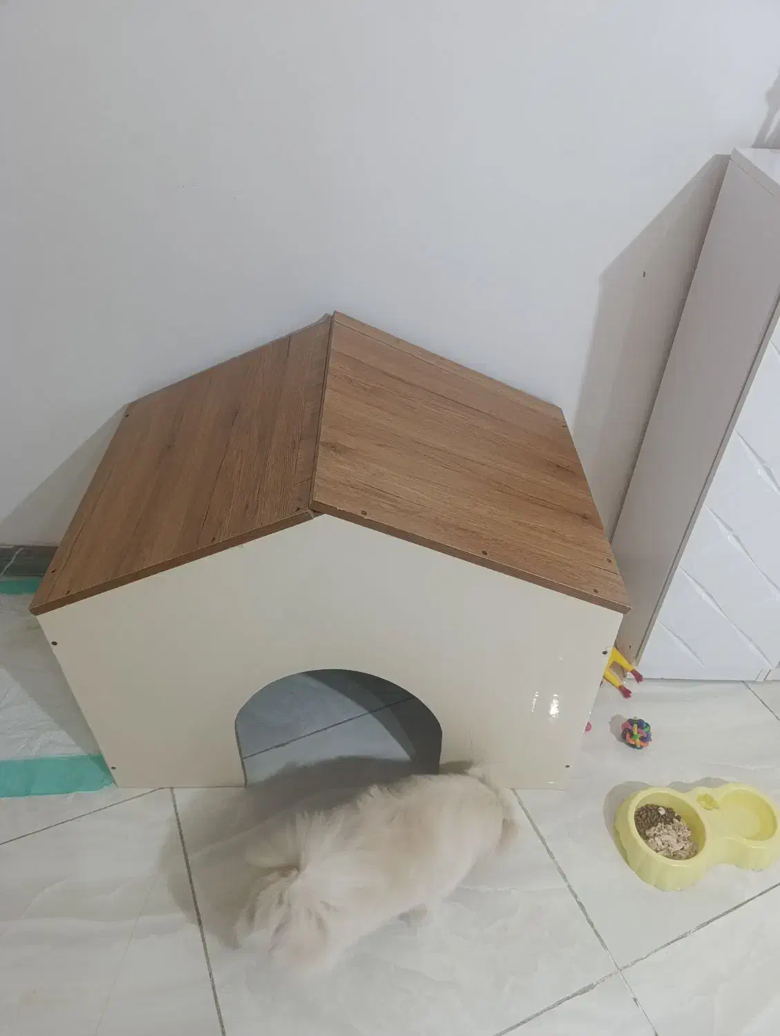 لانه سگ|لوازم جانبی حیوانات|قدس, شهر‌قدس|دیوار