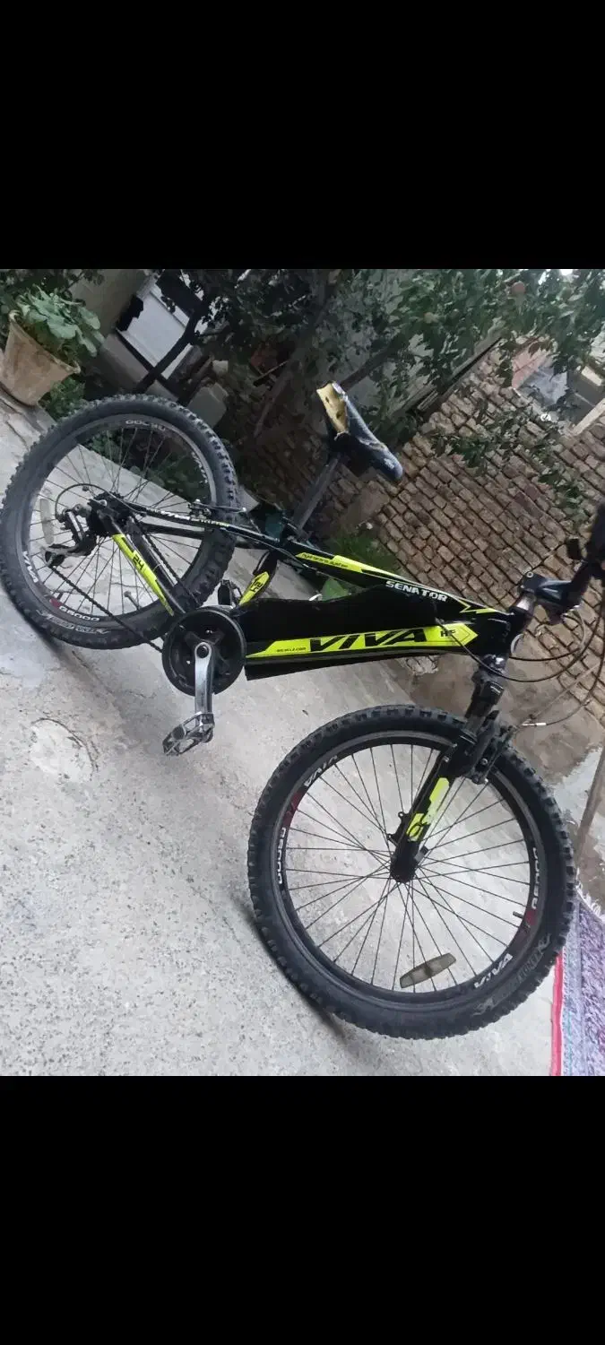 دوچرخه ۲۴ ویوا در حد نو|دوچرخه، اسکیت، اسکوتر|مرند, |دیوار
