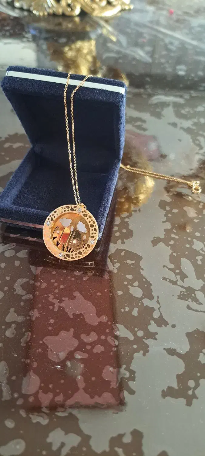 پلاک و گردنبند|جواهرات|ایوان, |دیوار