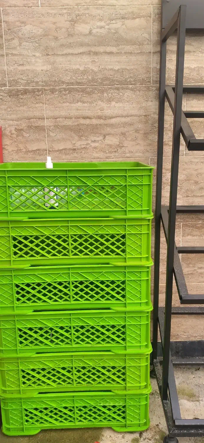 استند میوه|فروشگاه و مغازه|سیاهکل, |دیوار