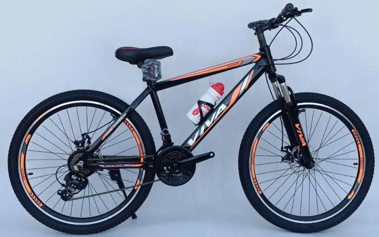 دوچرخه ویوا تنه آهنی و آلومینیومی% حراج پاییزی|دوچرخه، اسکیت، اسکوتر|آران و بیدگل, |دیوار