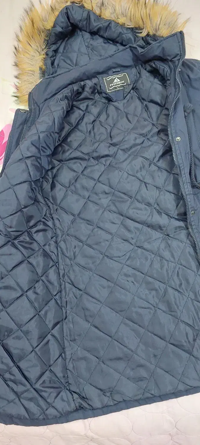 پالتو|لباس|شاهین‌شهر, خبرنگار|دیوار