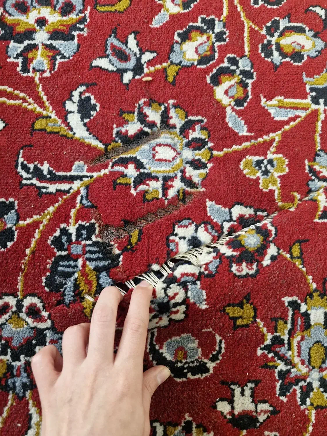 فرش ۹ متری|فرش|تهران, فردوس|دیوار