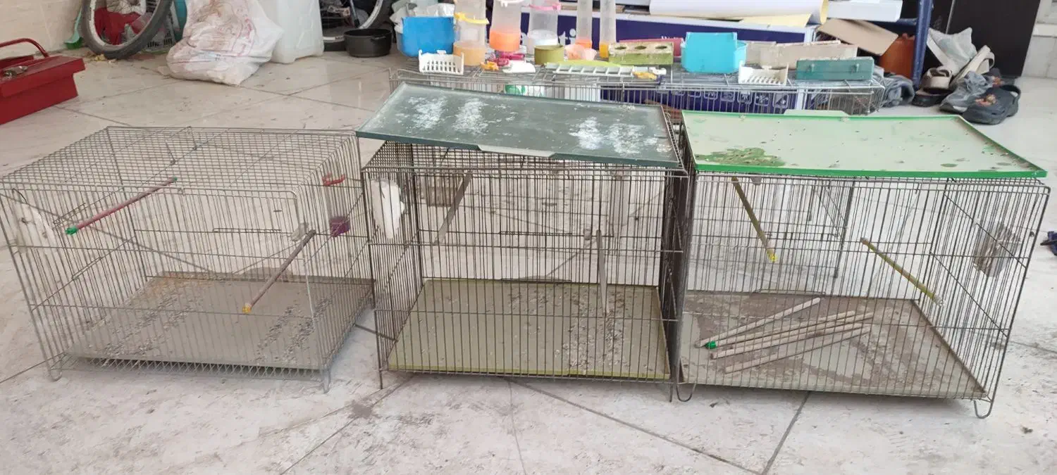 قفس پرنده|لوازم جانبی حیوانات|حمیدیا, |دیوار