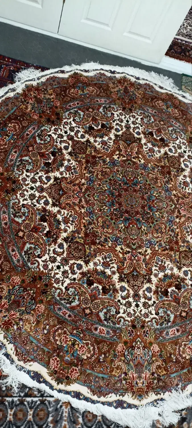 فرش سالاری دایره|فرش|تهران, شهید فکوری|دیوار