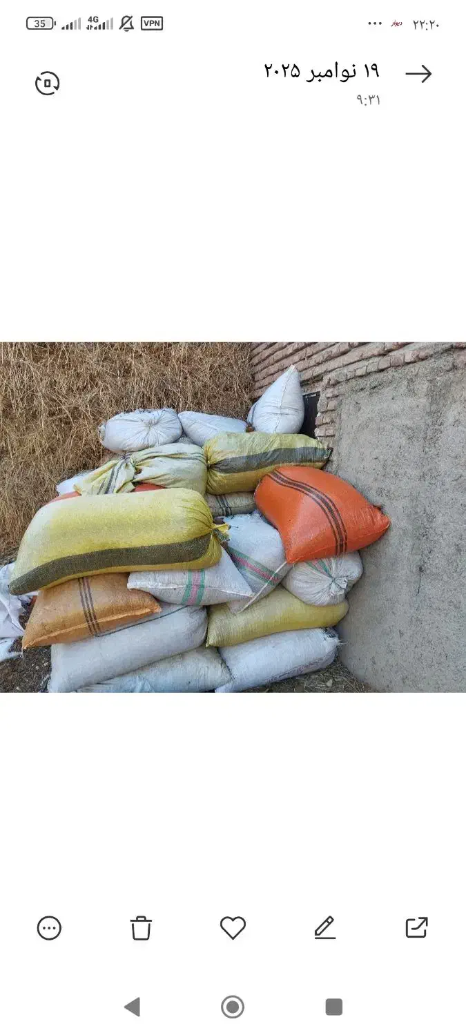 دامداران|لوازم جانبی حیوانات|خوی, |دیوار