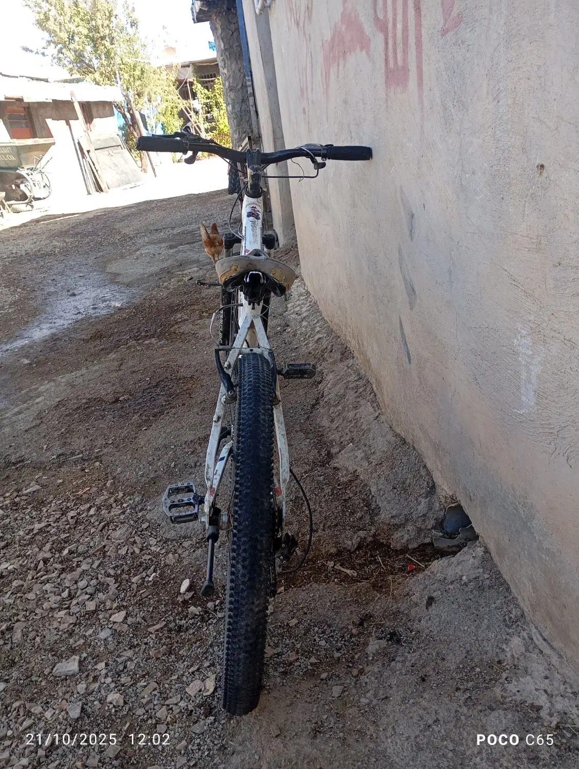 دو چرخه ۲۶|دوچرخه، اسکیت، اسکوتر|جوانرود, |دیوار