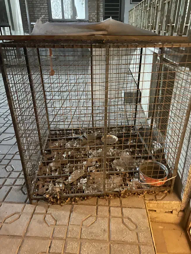 قفس|لوازم جانبی حیوانات|یزد, |دیوار