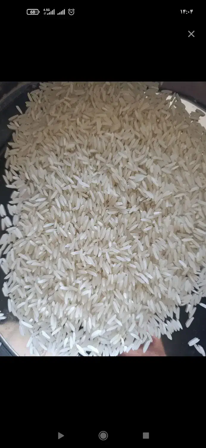 برنج|خوردنی و آشامیدنی|خان ببین, |دیوار