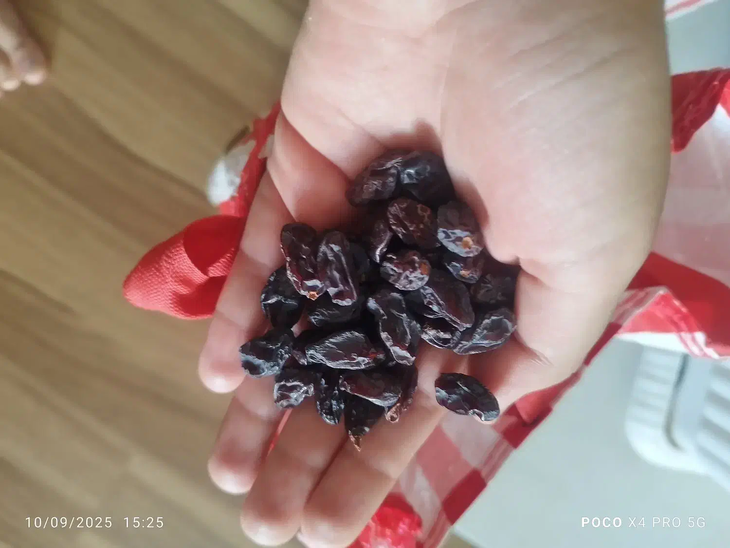 مویز سیاه کلستان|خوردنی و آشامیدنی|شیراز, ریشمک|دیوار