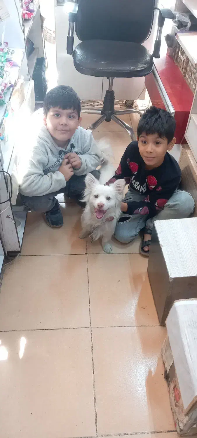 توافقی به فروش میرسد|سگ|کرج, مهرویلا جنوبی|دیوار