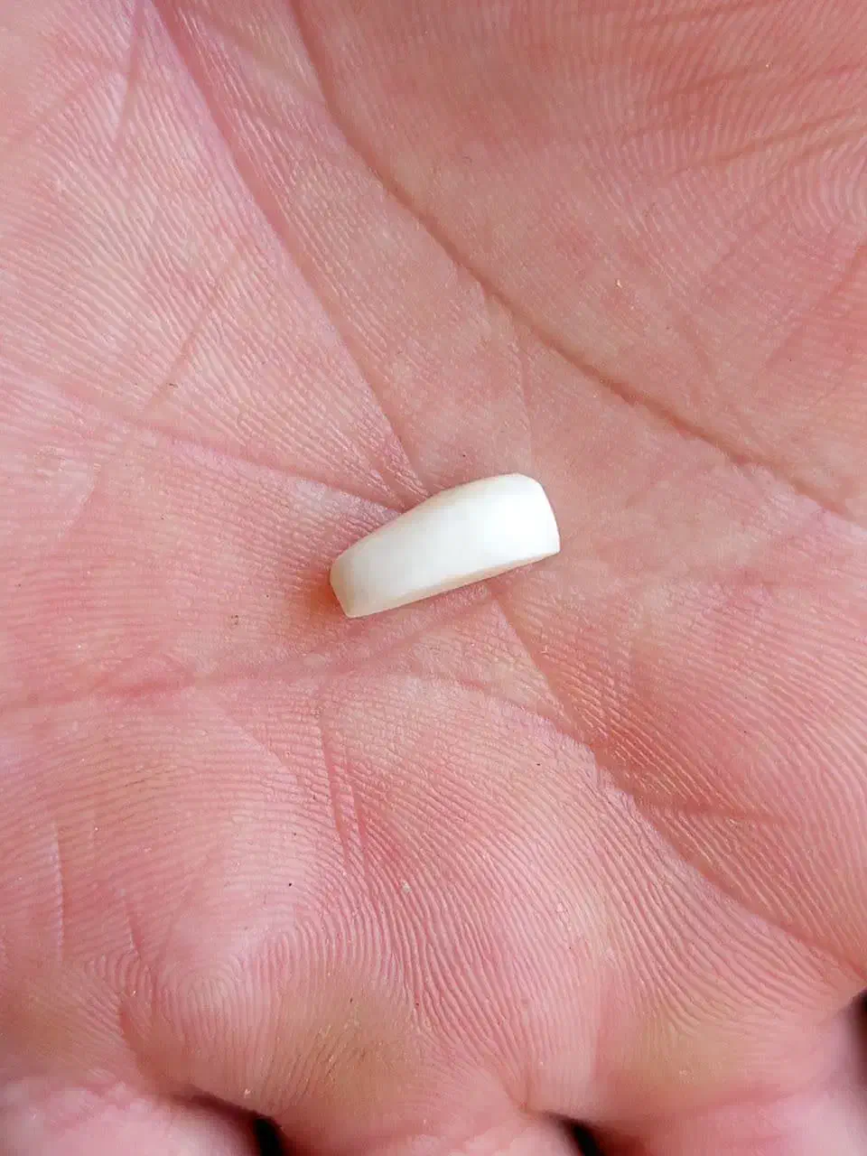 سنگ|جواهرات|پیشوا, |دیوار