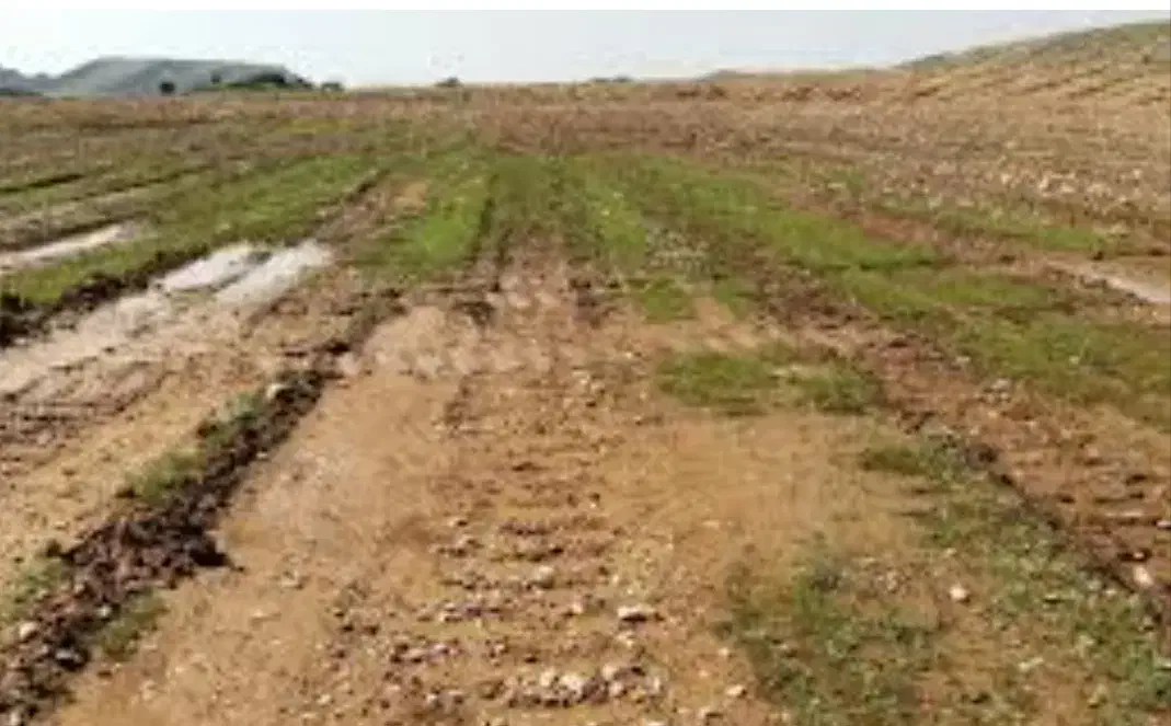 فروش زمین بحر جاده ترانزیت|فروش دفتر صنعتی، کشاورزی، تجاری|رامند, |دیوار