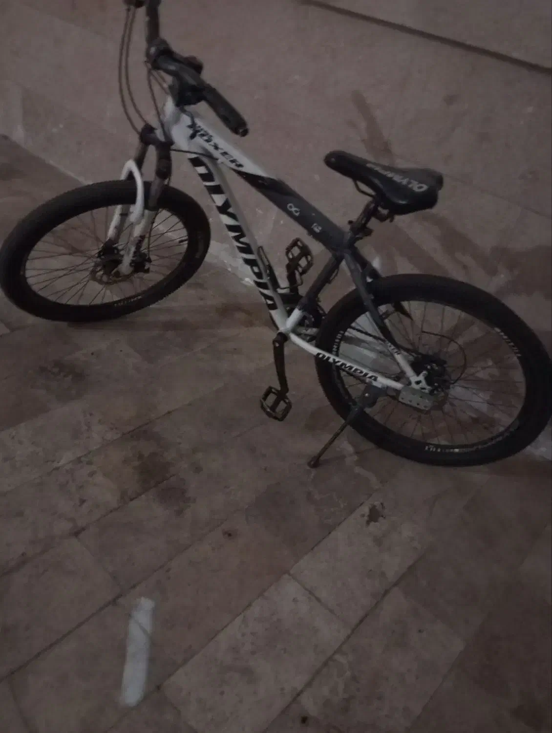 دندی|دوچرخه، اسکیت، اسکوتر|مشهد, موسوی قوچانی|دیوار