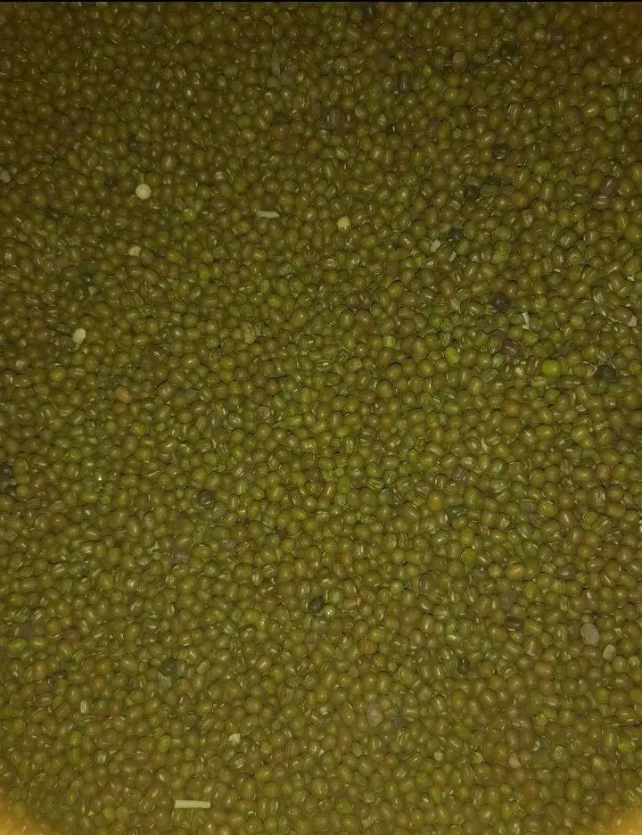 ماش|خوردنی و آشامیدنی|کوهدشت, |دیوار