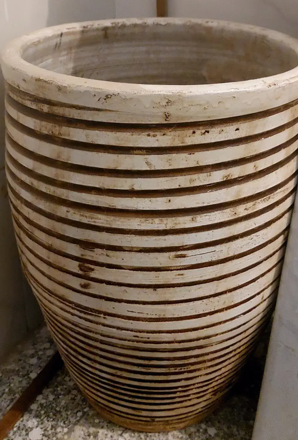 گلدان|گل و گیاه طبیعی|شاهین‌شهر, فردوسی|دیوار